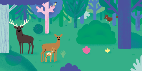 Les animaux