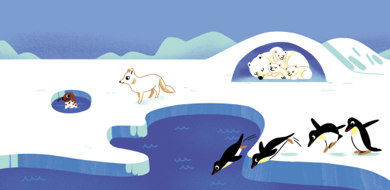 Les animaux